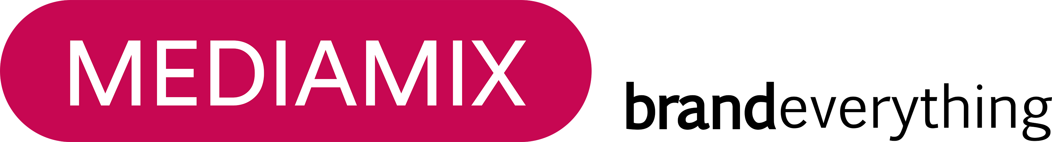 Media Mix
